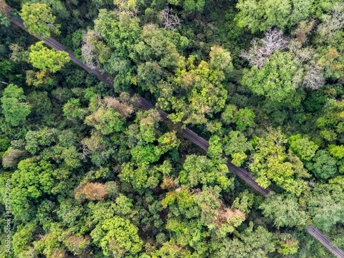 Lawachara National Park, Sreemangal, Sylhet, Bangladesh