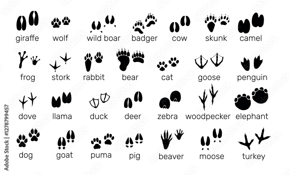 Fototapeta premium Animals footprints. Wildlife and birds tracks. Different paw prints. Black silhouette imprint icons. Bear and rabbit steps. Fauna trails with inscriptions. Vector zoo footsteps set