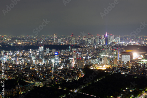Wallpaper Mural Tokyo, Japan. Night view from Roppongi hills observation deck Torontodigital.ca