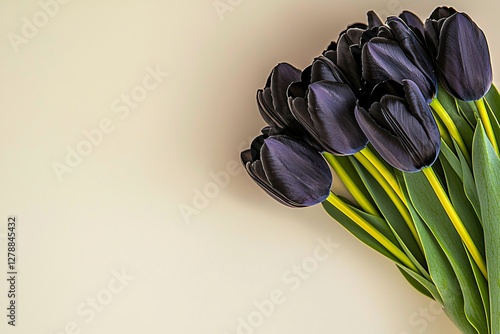 Aesthetic black tulips with vibrant green stems arranged on a neutral textured background, ideal for floral art and modern decor. photo