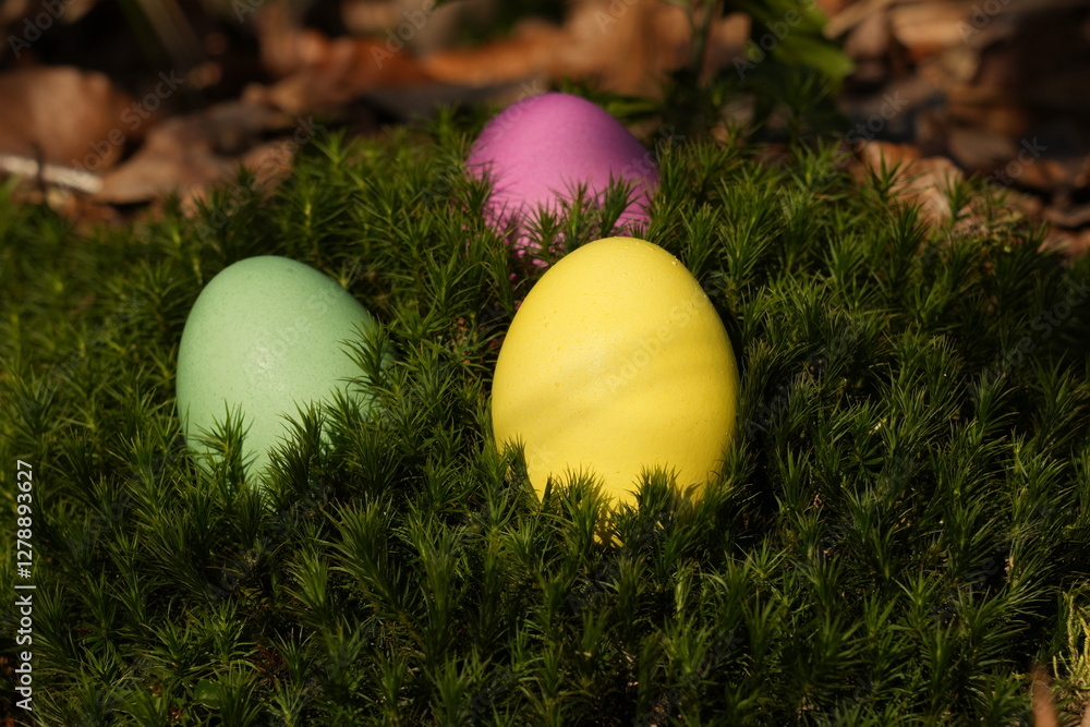 Schöne bunte Ostereier auf Moos im Wald Schöne bunte Ostereier auf Moos im Wald