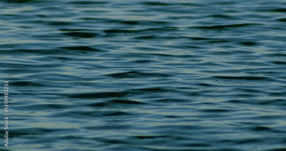 blue water surface with ripples blue water surface with ripples