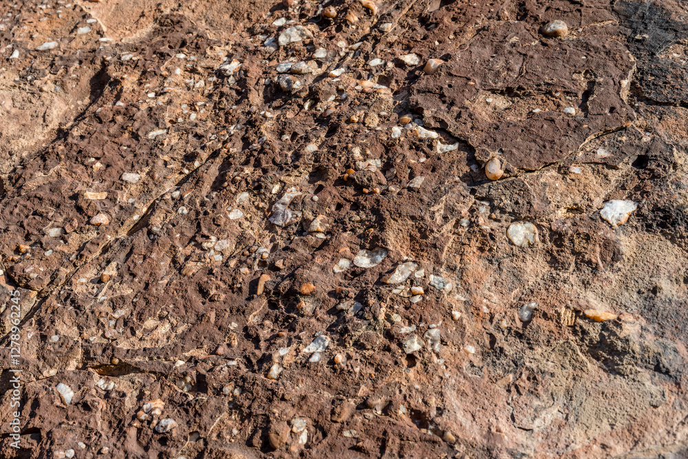 white quarz conglomerate in sandstone rocks, near Twyfelfontein, Namibia