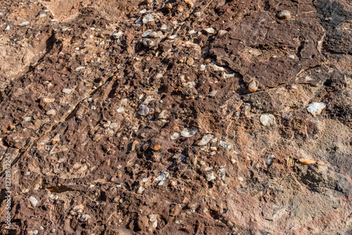 Obraz na płótnie white quarz conglomerate in sandstone rocks, near Twyfelfontein, Namibia w salonie