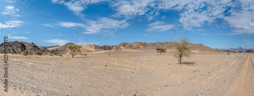 Obraz na płótnie sand on rocky hills and trees in desert, near Vrede, Namibia w salonie