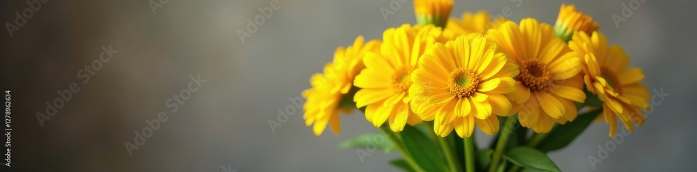 Yellow zinnia flowers in a vase with other flowers, cut, spring Yellow zinnia flowers in a vase with other flowers, cut, spring