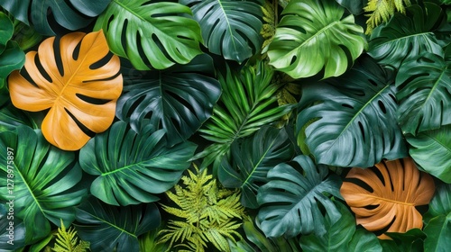 Wallpaper Mural A detailed close-up showcasing vibrant green and orange leaves, highlighting their unique textures and colors in a natural setting. Torontodigital.ca