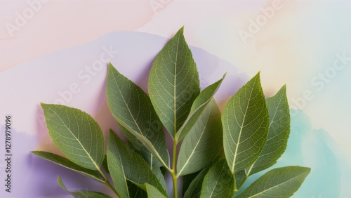 Wallpaper Mural Green Leaves Background Torontodigital.ca