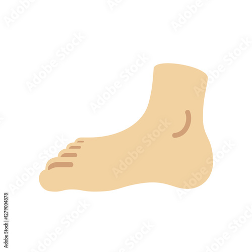 Foot