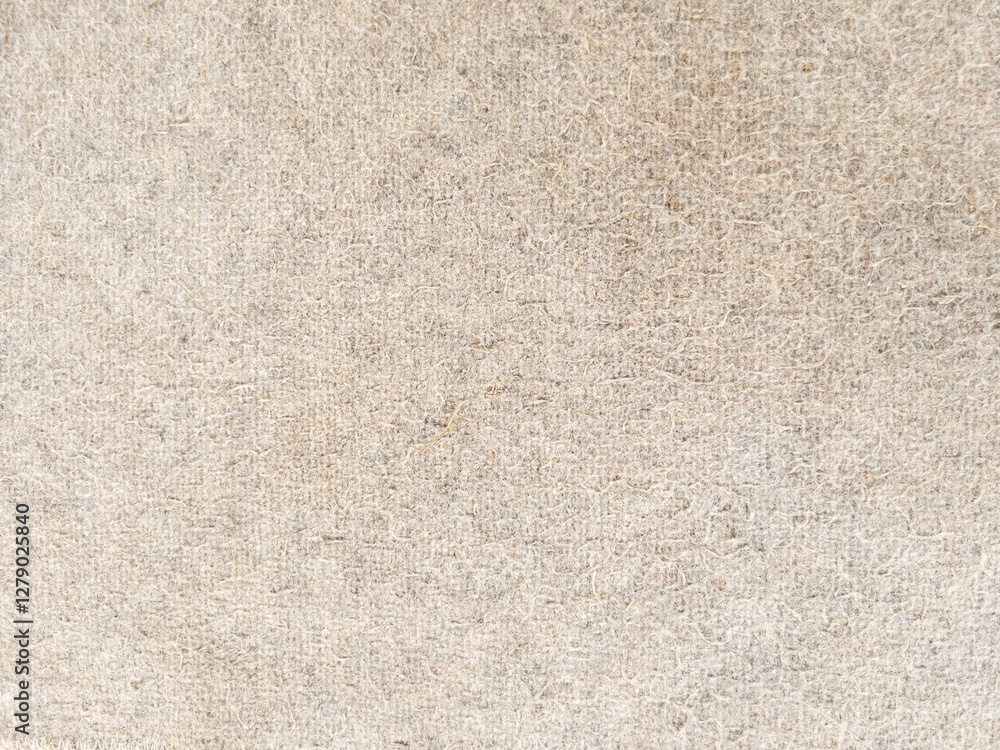 Close-Up of Soft Brown Carpet Texture.