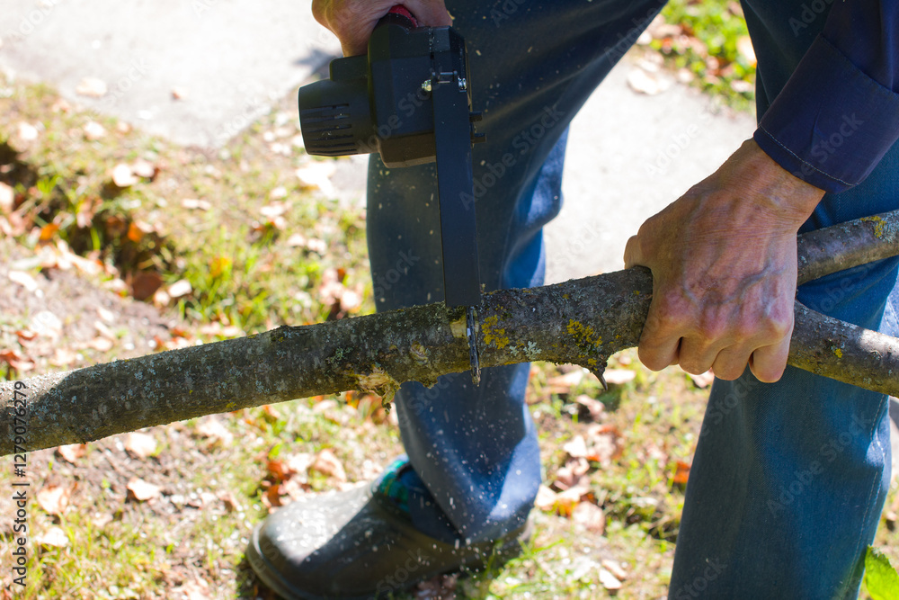 Cordless knot cutter, a tool for seasonal pruning of trees. The man saws off the knots Cordless knot cutter, a tool for seasonal pruning of trees. The man saws off the knots