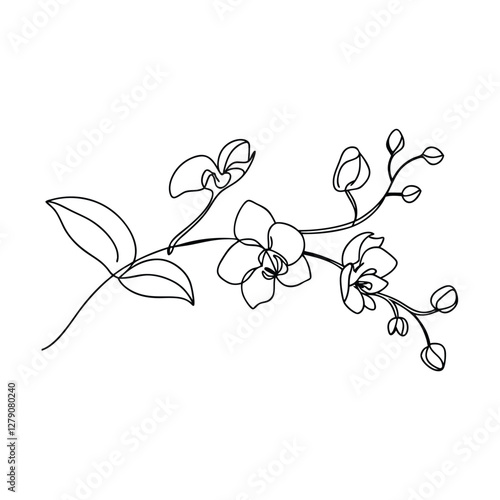 Elegant SingleLine Orchid Drawing Botanical Art, Minimalist Floral Design