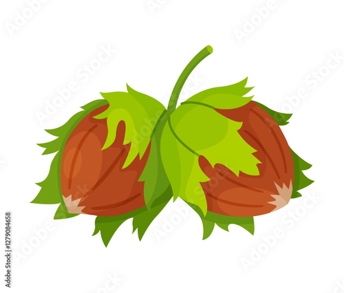 Hazelnuts with leaves. Cartoon hazelnut Hand drawn trendy flat style isolated icon. Organic raw hazel with leaves, tasty snacks. Forest nut Vector illustration