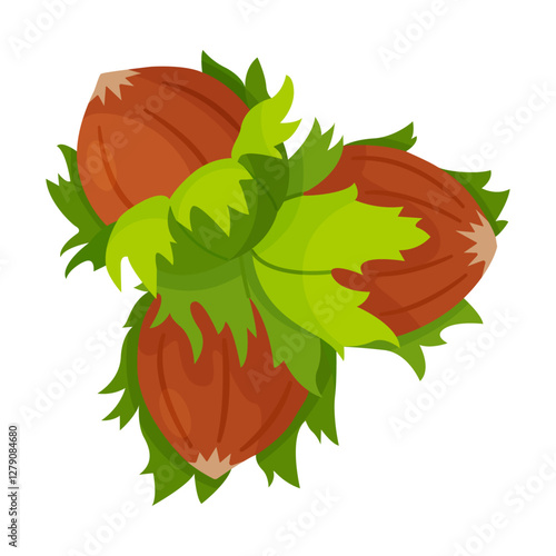 Hazelnuts with leaves. Cartoon hazelnut Hand drawn trendy flat style isolated icon. Organic raw hazel with leaves, tasty snacks. Forest nut Vector illustration