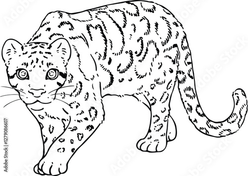 Cute line art illustration of Clouded Leopard