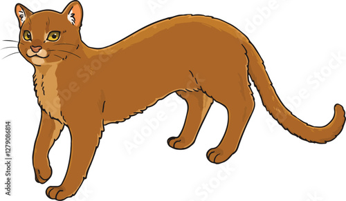 Cute hand drawn illustration of Jaguarundi