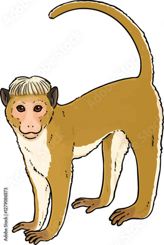 Cute illustration of Toque macaque