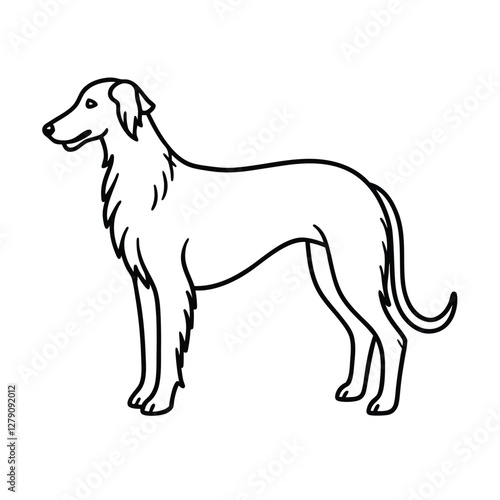 Elegant Borzoi Dog Breed, Line Art, Canine Illustration, Profile View