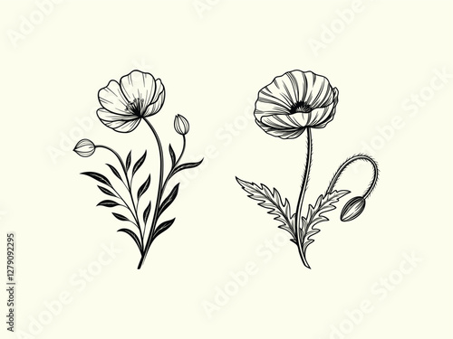 Hand-Drawn Outline Illustration of a Poppy Flower Design