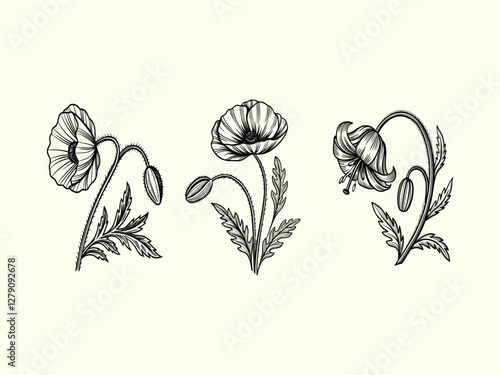Hand-Drawn Outline Illustration of a Poppy Flower Design