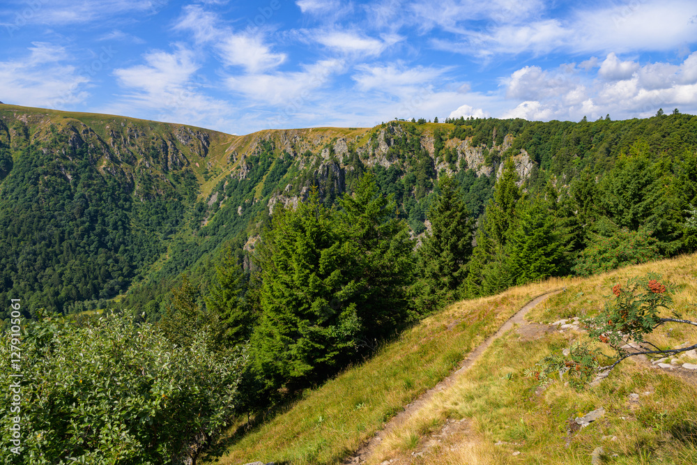 Naklejka premium Mountains near Le Hohneck in the Vosges