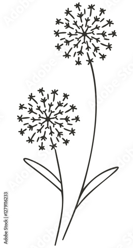 Wallpaper Mural dandelion vector illustration Torontodigital.ca