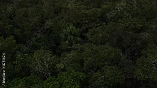 Puero Narino Sunset, Colombia