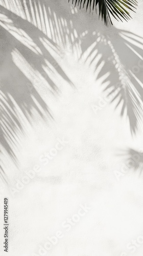 Palm frond casting shadows on a white textured wall, creating an abstract pattern with light and shadow interplay