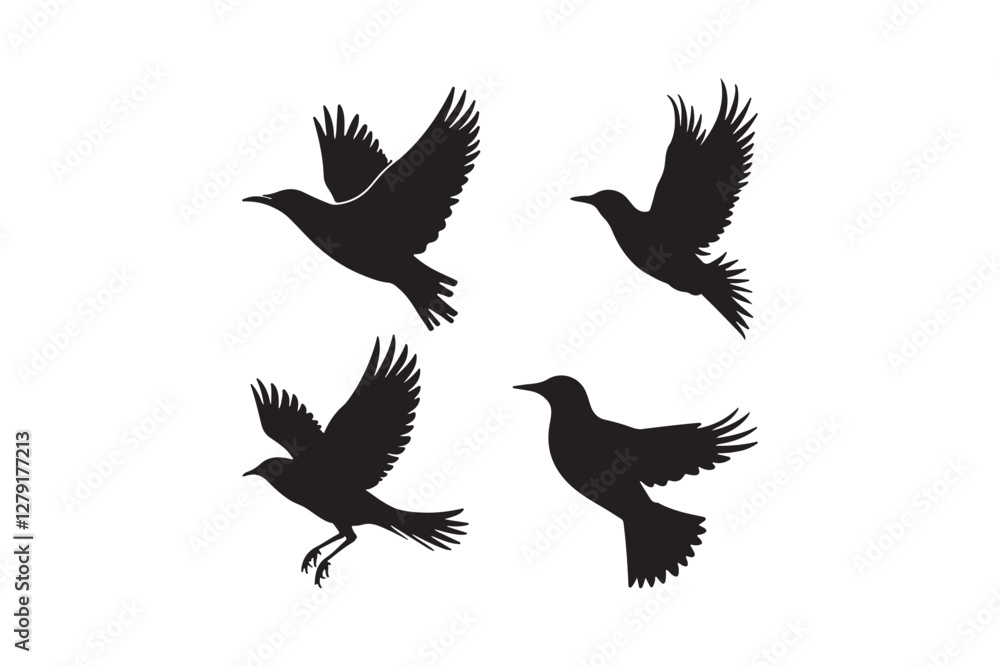 Obraz premium Flying Bird Silhouette Clipart Set