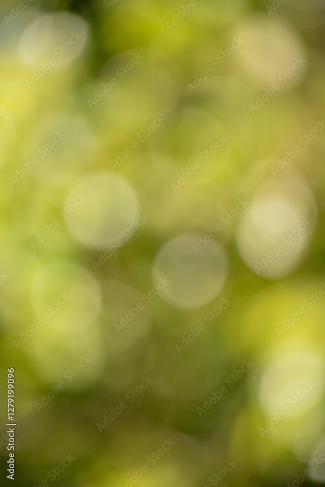 Green bokeh background, blurry green leaves out of focus. Green bokeh background, blurry green leaves out of focus.