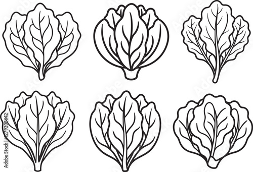 set of spinach line art, black outline, vector and illustration, line art and outline