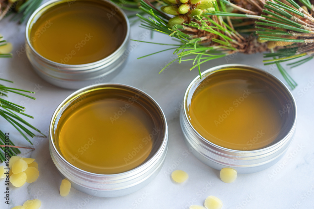 freshly poured homemade pine needle salve balm in reusable tin container on white background. freshly poured homemade pine needle salve balm in reusable tin container on white background.