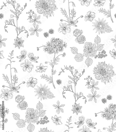  Seamless floral pattern, black on a transparent background, a floral pattern with an intricate design reminiscent of prints on porcelain or fabric.