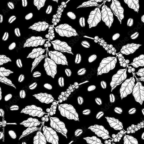 Seamless pattern with coffee bean, coffee tree branches and leaves sketch. Hand drawn vector illustration. Engraved style.