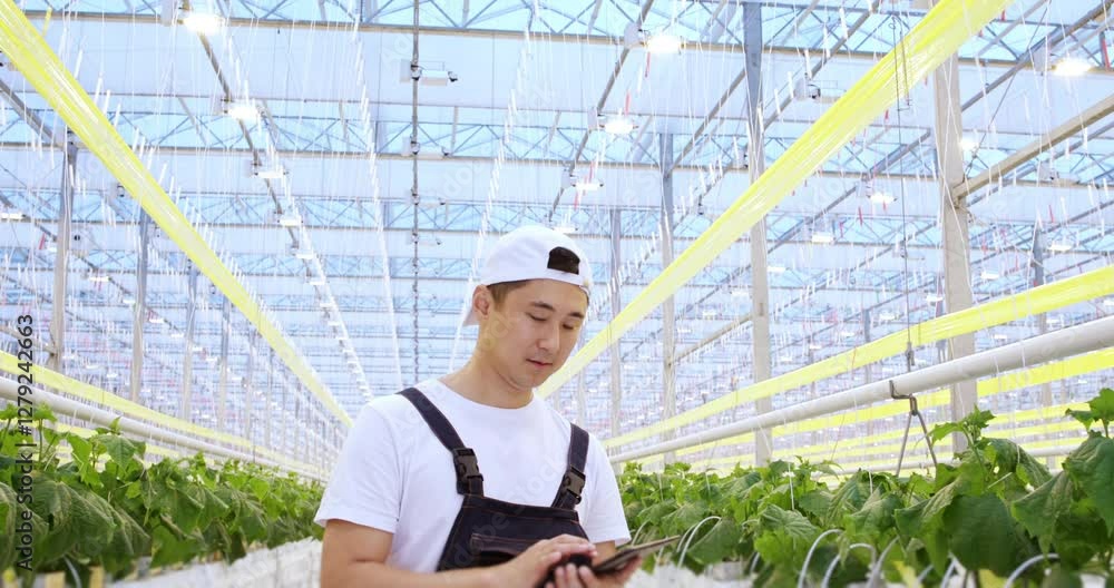 Portrait of smiling male worker of modern greenhouse looking at camera, planning growing vegetables using tablet. Fresh natural food production, eco vegetables cultivation and harvesting Portrait of smiling male worker of modern greenhouse looking at camera, planning growing vegetables using tablet. Fresh natural food production, eco vegetables cultivation and harvesting