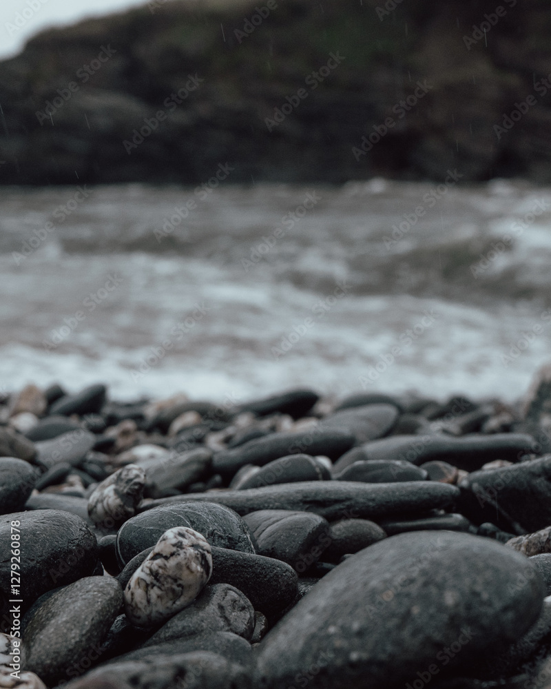 Fototapeta premium Dark coral stones