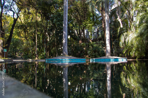 Natural spring pools in Melchor Ocampo Park, Cuernavaca, Mexico, reflecting tropical trees. Cascading water and vibrant foliage create a peaceful oasis bathed in sunlight.
