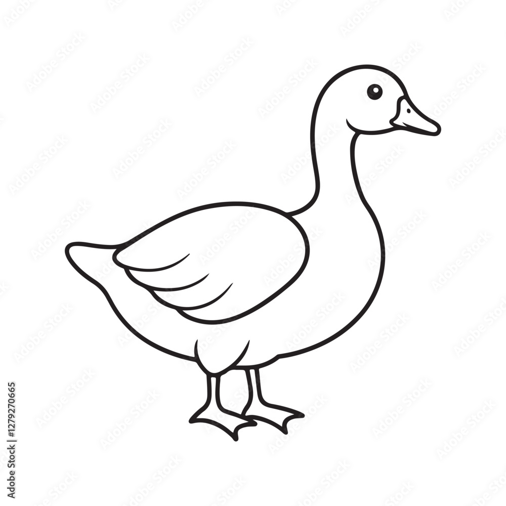 Obraz premium Duck Goose Animal Vector Illustration