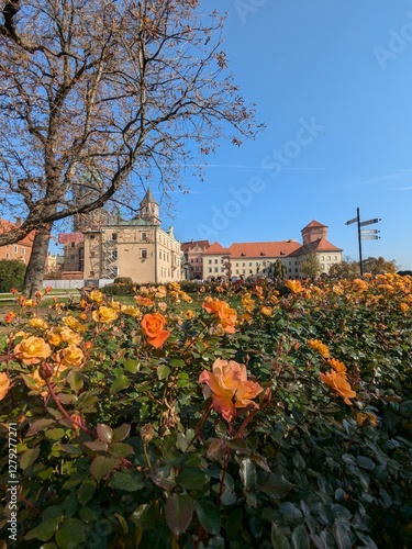 Golden Roses in Front of Wawel Castle, Krakow