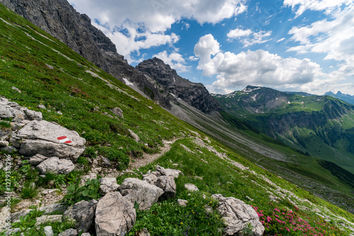 Alpine landscape with hiking trail and blooming flowers in the Allgaeu Alps near Oberstdorf photo