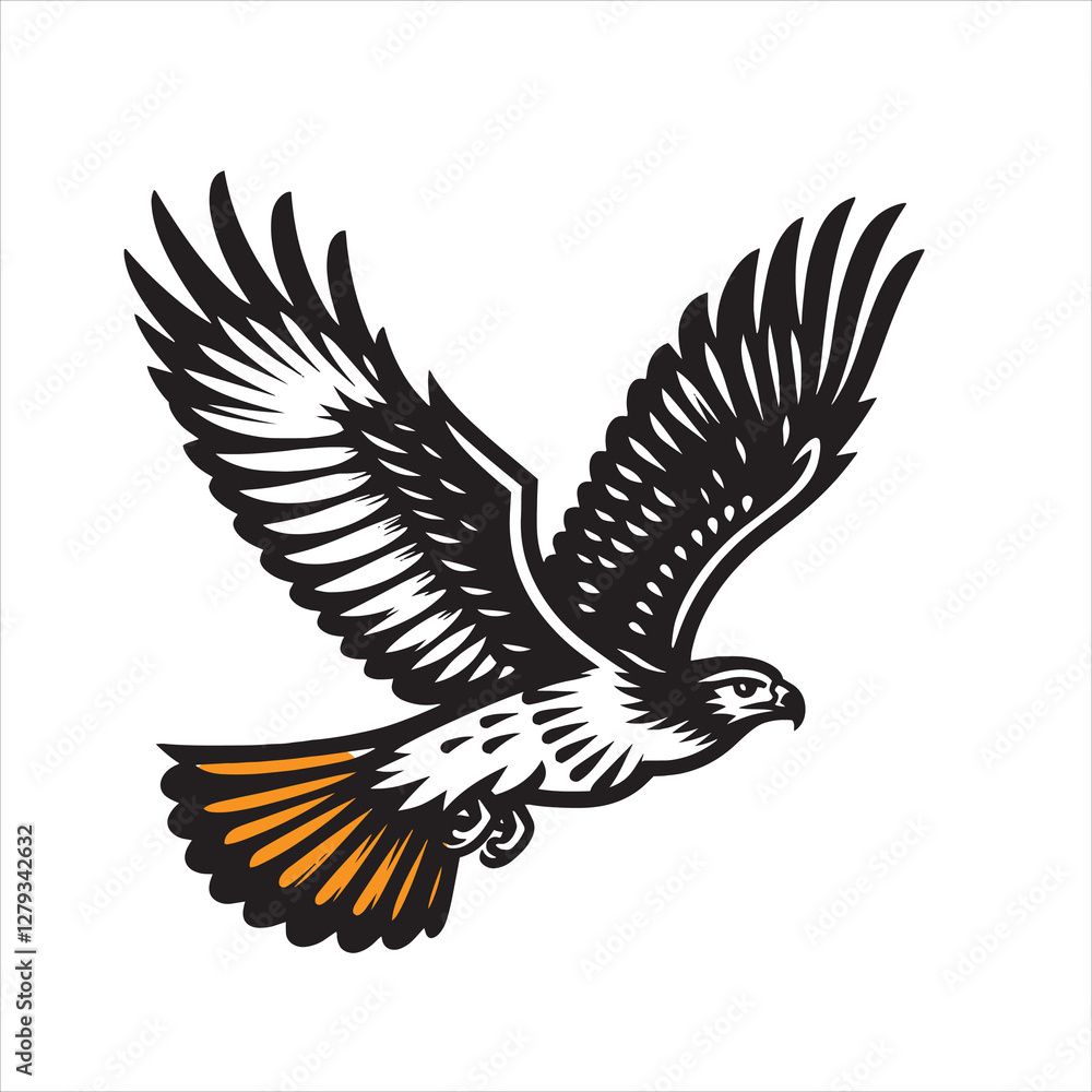 Obraz premium Red tail hawk vector, flying, set hawak