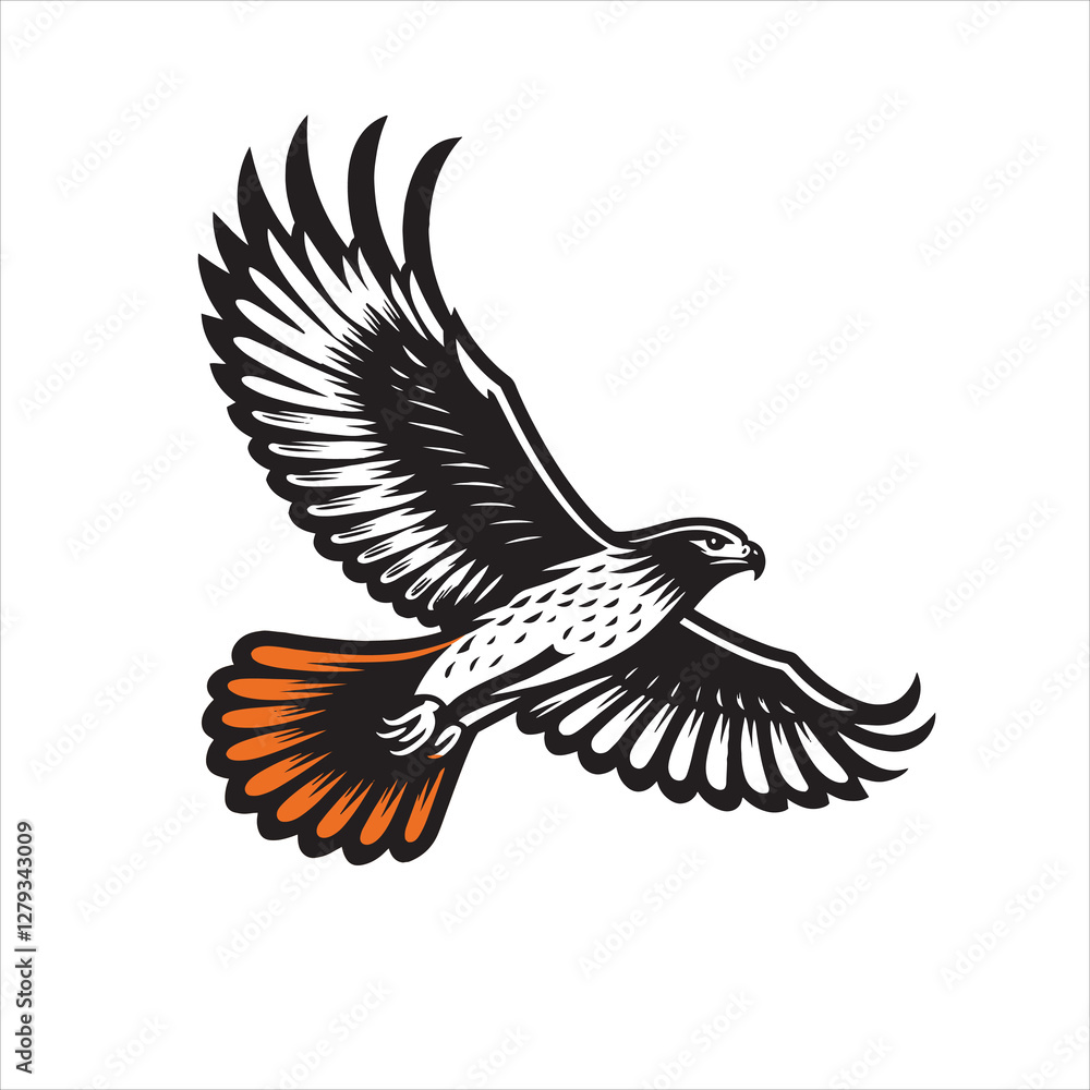 Obraz premium Red tail hawk vector, flying, set hawak