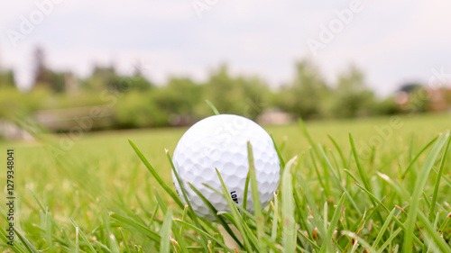 Close-up of a golf ball on a tee, nestled in green grass with a blurred background of a golf course. Suggests recreation. Ideal for sports, recreation, and outdoor activities.