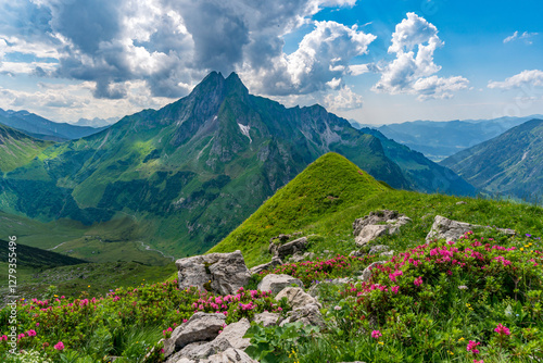 Majestic mountain landscape with vibrant flowers and dramatic clouds in Bavaria Allgau Alps photo