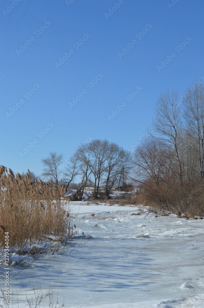 bare trees in winter, around a pond with ice on it bare trees in winter, around a pond with ice on it