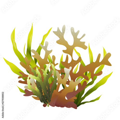 Algaes. Underwater flora in the gradient. Can be used environmental projects, promotional materials, textbooks, logos and branding