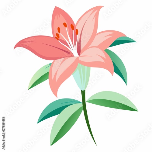 pink lily isolated on white