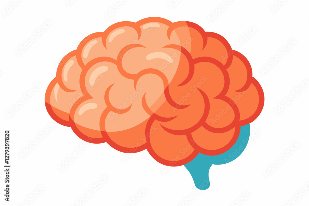 Brain human anatomy biology organ body system health care Brain human anatomy biology organ body system health care