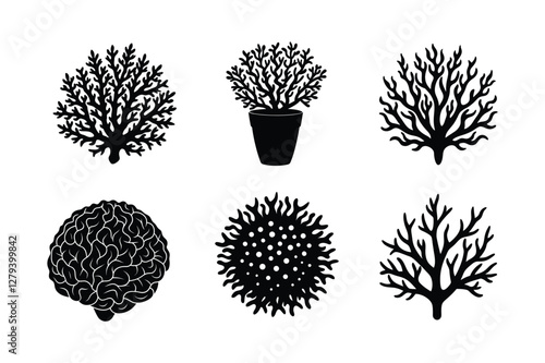 Coral silhouette vector  Bundle 