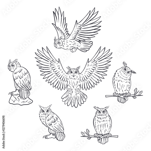 Set of hand drawn black and white line art eagle-owls sitting and flying isolated on white background. Monochrome nocturnal birds vector illustrations bundle.